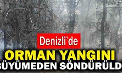 Denizli’de Orman Yangını Büyümeden Söndürüldü
