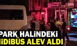 Denizli’de Park Halindeki Midibüs Alev Aldı