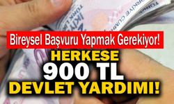 Herkese 800-900 TL Devlet Yardımı!  Bireysel Başvuru Yapmak Gerekiyor!