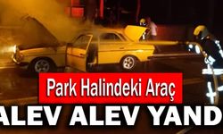 Park Halindeki Araç Alev Alev Yandı
