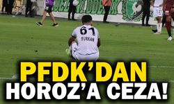 PFDK’dan Denizlispor’a Para Cezası Geldi!
