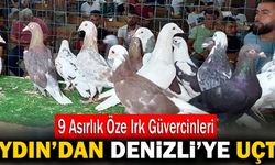 9 Asırlık Öze Irk Güvercinleri Aydın’dan Denizli’ye Uçtu