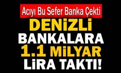 Denizli Bankalara 1.1 Milyar Lira Taktı!