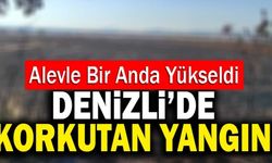 Denizli’de Anız Yangınında 50 Dekar Alan Küle Döndü