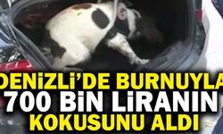 Denizli’de Burnuyla 700 Bin Liranın Kokusunu Aldı