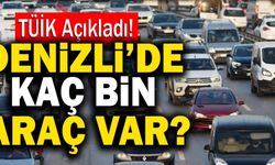 Denizli’de Kaç Bin Araç Var? TÜİK Açıkladı!
