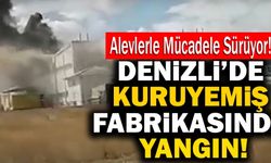 Denizli’de Kuruyemiş Fabrikasında Yangın!