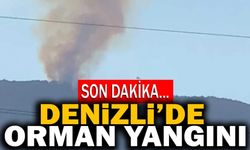 Son Dakika! Denizli’de Orman Yangını
