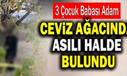3 Çocuk Babası Adam Ceviz Ağacında Asılı Halde Bulundu