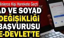 Ad ve Soyad Değişikliği İçin E-Devlet’e Girmeniz Yeterli!