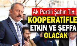 Ak Partili Şahin Tin; “Kooperatifler Etkin Ve Şeffaf Olacak”