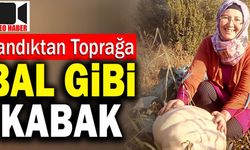 Anneannesinin Sandığından Çıkan Tohumlardan 50 Kiloluk Kabak Yetiştirdi