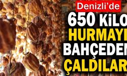 Denizli’de 650 Kilo Hurmayı Bahçeden Çaldılar!