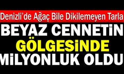 Denizli’de Ağaç Bile Dikilemeyen Tarla Beyaz Cennetin Gölgesinde Milyonluk Oldu!