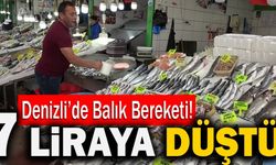 Denizli’de Balık Bereketi! 7 Liraya Düştü!