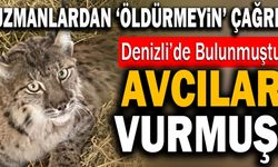 Denizli’de Bulunan ‘Ormanın Hayaleti’ni Avcılar Vurmuş!