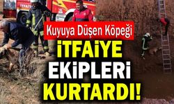 Denizli’de Kuyuya Düşen Köpeği İtfaiye Ekipleri Kurtardı!