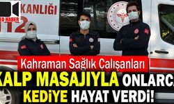 Denizli’de Sağlık Çalışanları Kalp Masajıyla Onlarca Kedinin Hayatını Kurtardı!