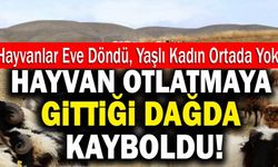 Denizli’de Yaşlı Kadın Hayvan Otlatmaya Gittiği Dağda Kayboldu!
