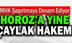 Denizlispor’a Yine Çaylak Hakem Atandı!
