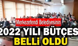 Merkezefendi Belediyesinin 2022 Yılı Bütçesi Belli Oldu
