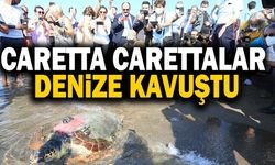 Tedavileri Tamamlanan Caretta Carettalar Denizle Buluştu