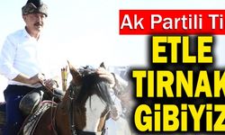 Ak Partili Şahin Tin’den Azerbaycan Tezkeresi İçin; “Biz Etle Tırnak Gibiyiz”