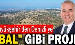 Büyükşehir’den Denizli’ye İkinci Bal Ormanı Geliyor