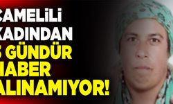 Çamelili Kadından 3 Gündür Haber Alınamıyor!