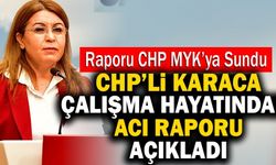 Chp’li Karaca Çalışma Hayatındaki Hak İhlalleri Raporunu Paylaştı