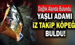 Dağda Kaybolan Yaşlı Adamı İz Takip Köpeği Buldu