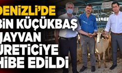 Denizli’de Bin Küçükbaş Hayvan Üreticiye Hibe Edildi