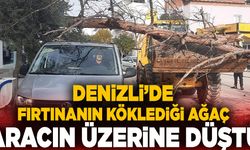 Denizli’de Fırtınanın Köklediği Ağaç Aracın Üzerine Düştü