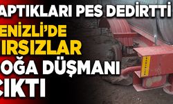 Denizli’de Hırsızlar Doğa Düşmanı Çıktı