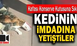 Denizli’de Kafası Konserve Kutusuna Sıkışan Kedinin İmdadına Yetiştiler