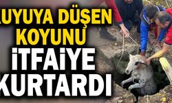 Denizli’de Kuyuya Düşen Koyunu İtfaiye Kurtardı