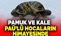 Pamuk ve Kale Paü’lü Öğretim Üyelerinin Himayesinde