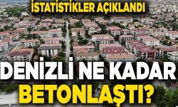 TÜİK Açıkladı… Denizli Ne Kadar Betonlaştı?