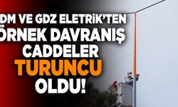 Adm ve Gdz Eletrik Kadına Yönelik Şiddete Dikkat Çekmek İçin Sokakları Turuncu Aydınlattı
