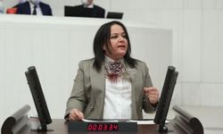 Ak Parti Denizli Milletvekili Nilgün Ök’ün Yeni Yıl Mesajı