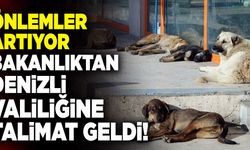 Başıboş Sokak Hayvanları İçin Denizli’ye Genelge Gönderildi