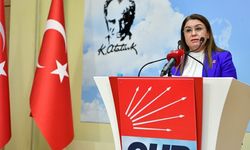 CHP’li Gülizar Biçer Karaca’dan 10 Aralık Dünya İnsan Hakları Günü Mesajı
