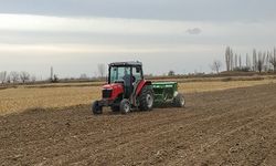 Denizli’de 100 Ton Makarnalık Buğday Tohumu Dağıtıldı