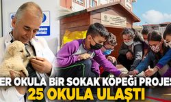 Denizli’de Her Okula Bir Sokak Köpeği Projesi’nde 25 Okula Ulaşıldı