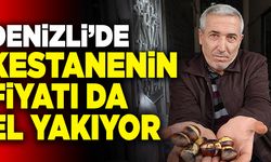Denizli’de Kestanenin Fiyatı Da El Yakıyor