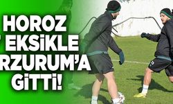 Denizlispor 7 Eksikle Erzurum’a Gitti!