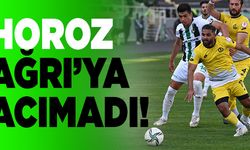 Denizlispor Kupada Bir Üst Tura Çıktı