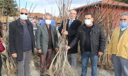 Çameli Belediyesi Ücretsiz Ceviz Fidanı Dağıttı