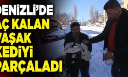 Denizli’de Aç Kalan Vaşak Kediyi Parçaladı
