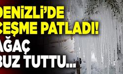 Denizli’de Çeşme Patladı! Ağaç Buz Tuttu…